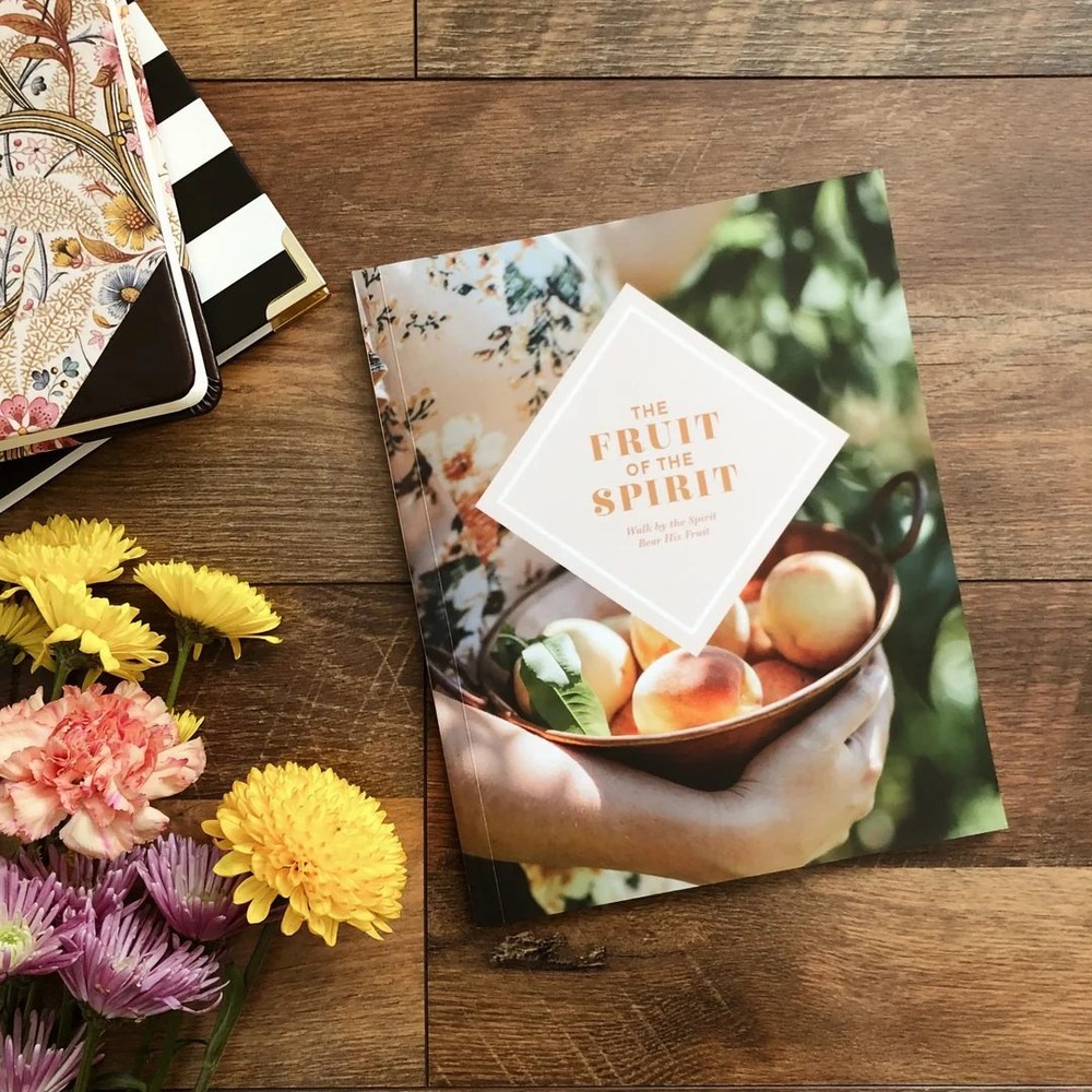 The Fruit of the Spirit Bible Study Paperback Softcover  The Daily Grace Co